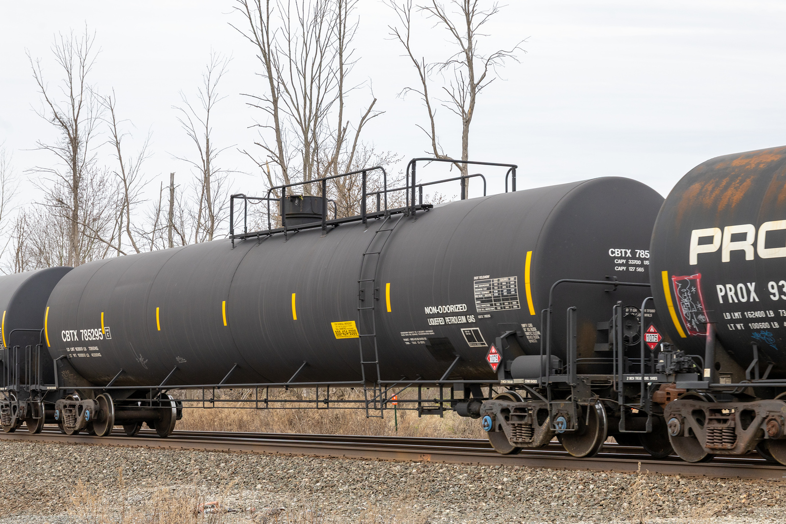 CBTX 785295