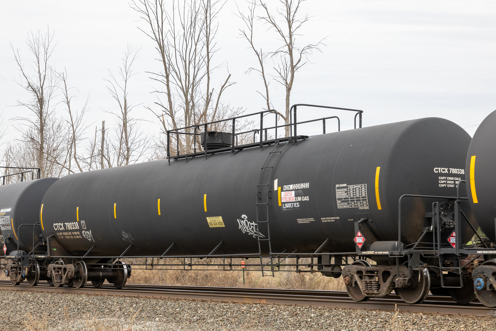 CTCX 780338