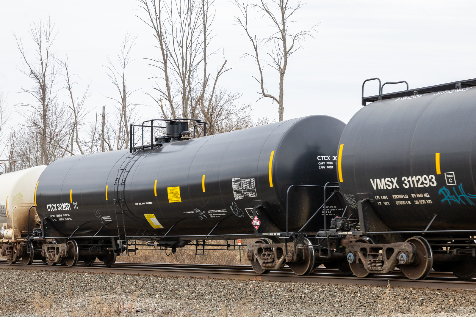 CTCX 302631