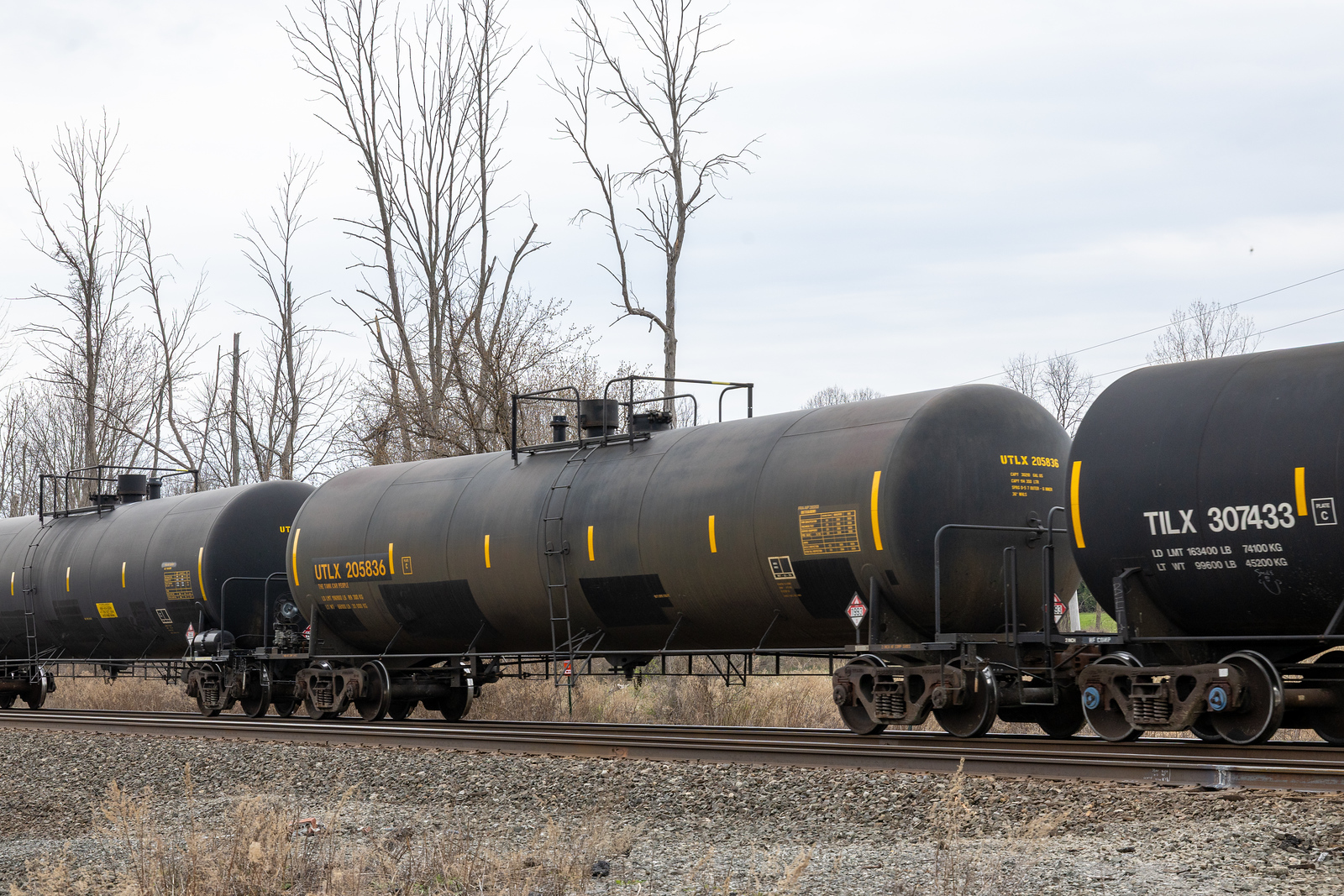 UTLX 205836