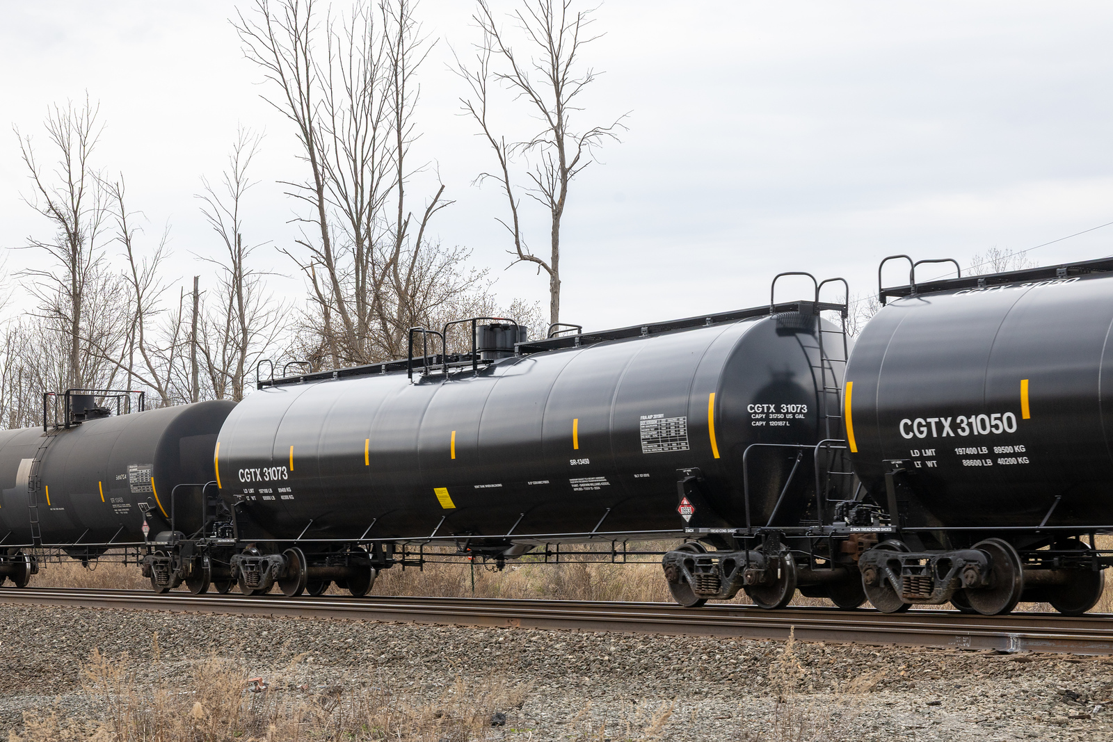 CGTX 31073