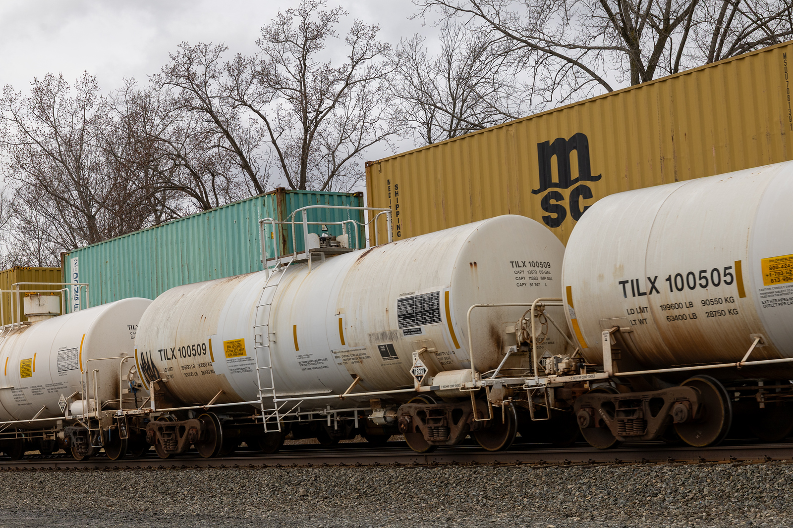 TILX 100509