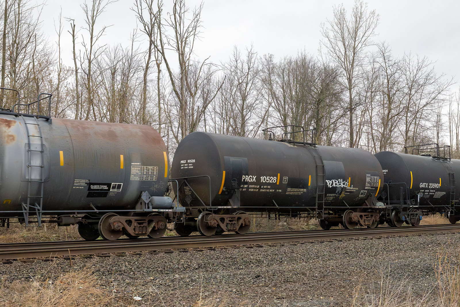 PRGX 10528