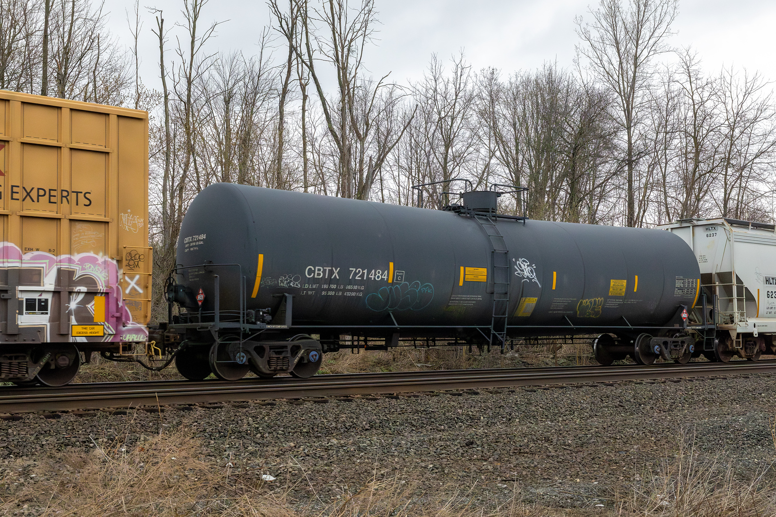 CBTX 721484