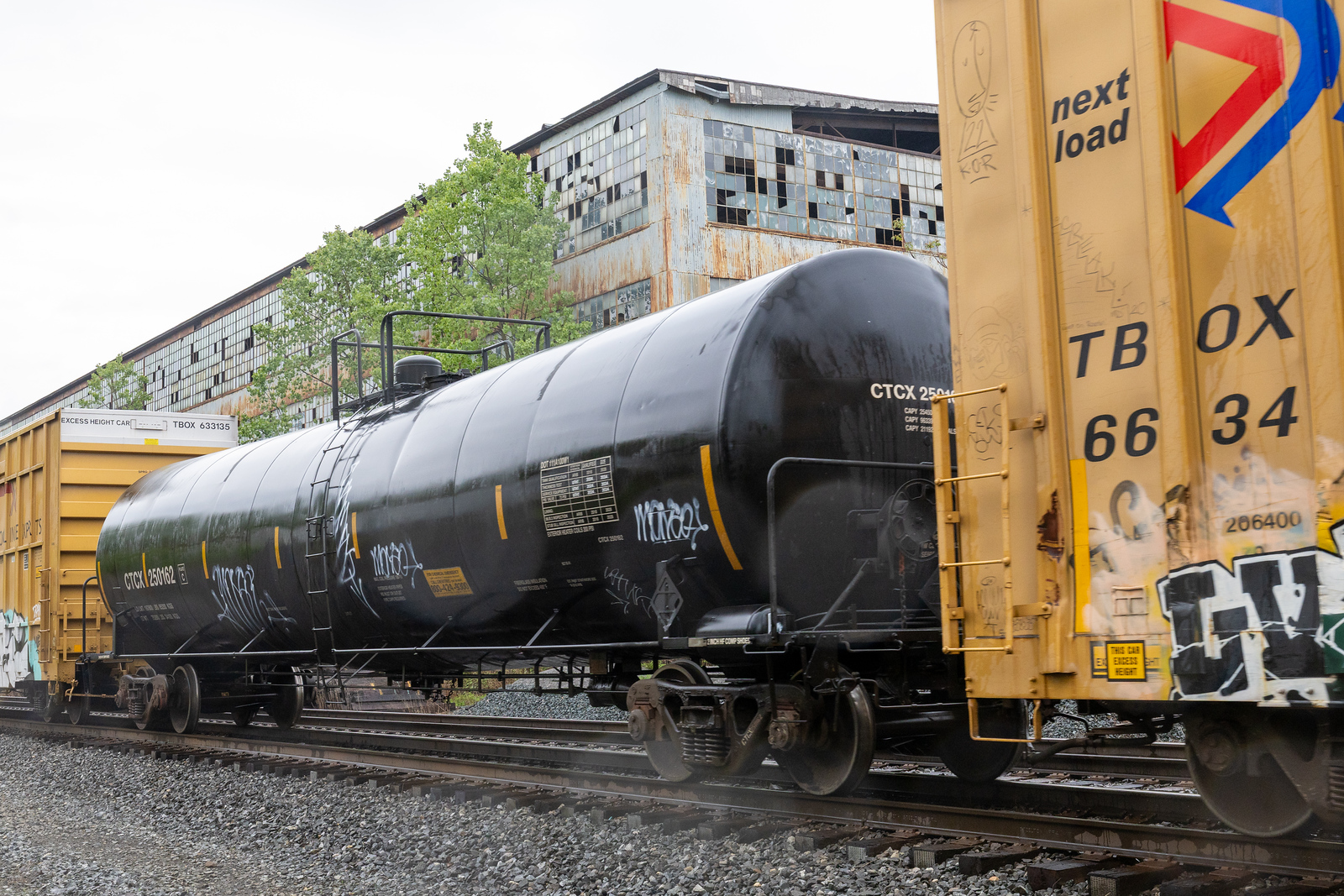 CTCX 250162