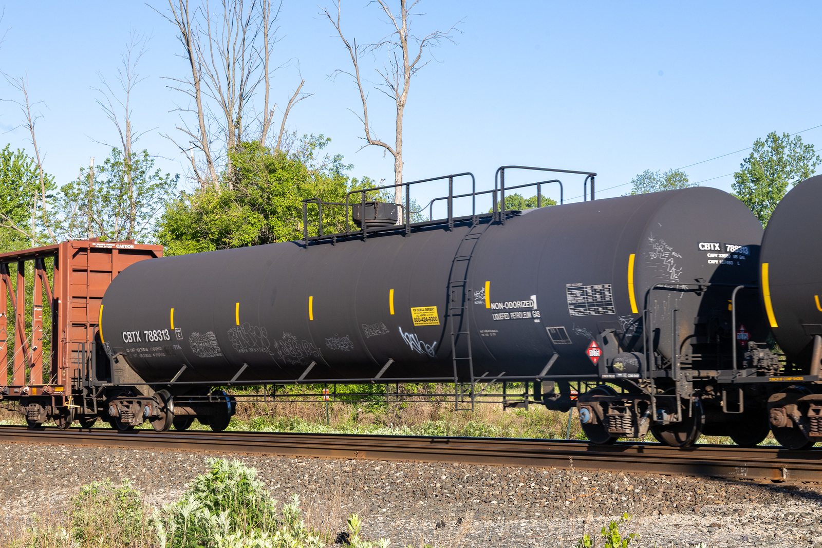 CBTX 788313