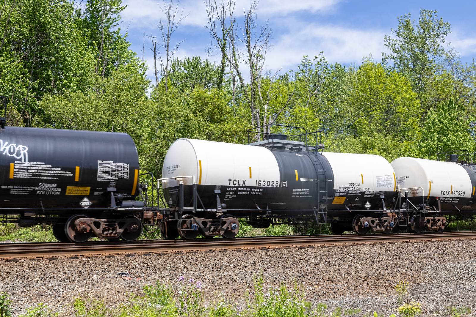 TCLX 163028