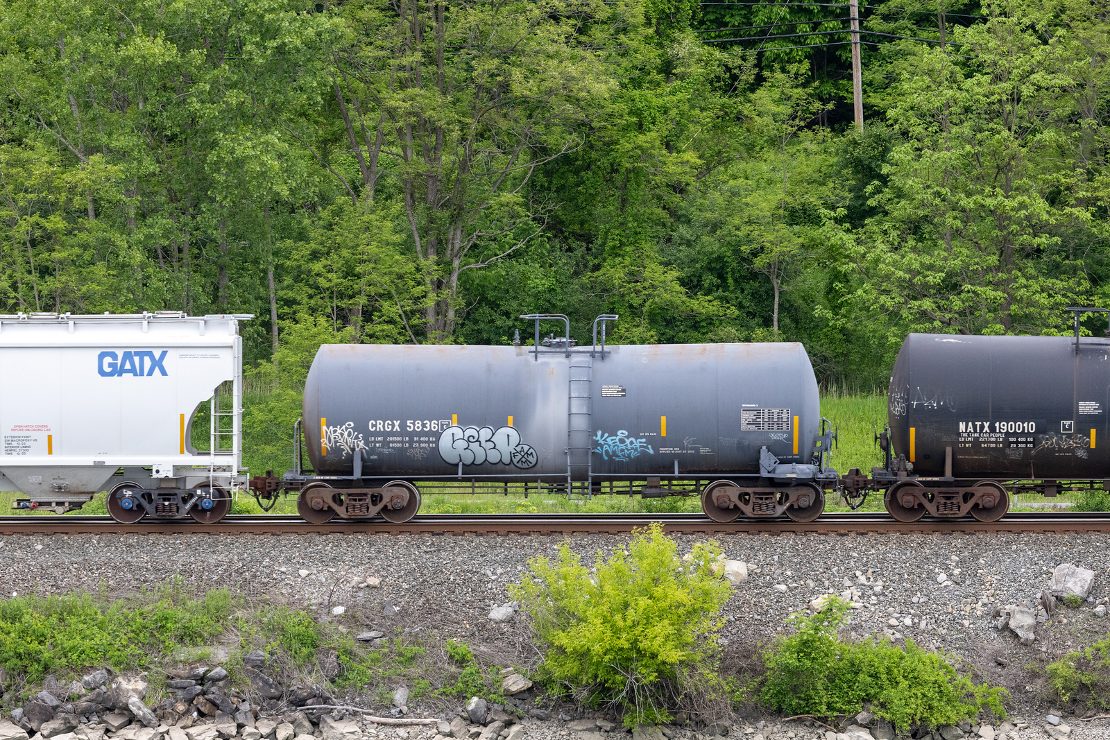 CRGX 5836