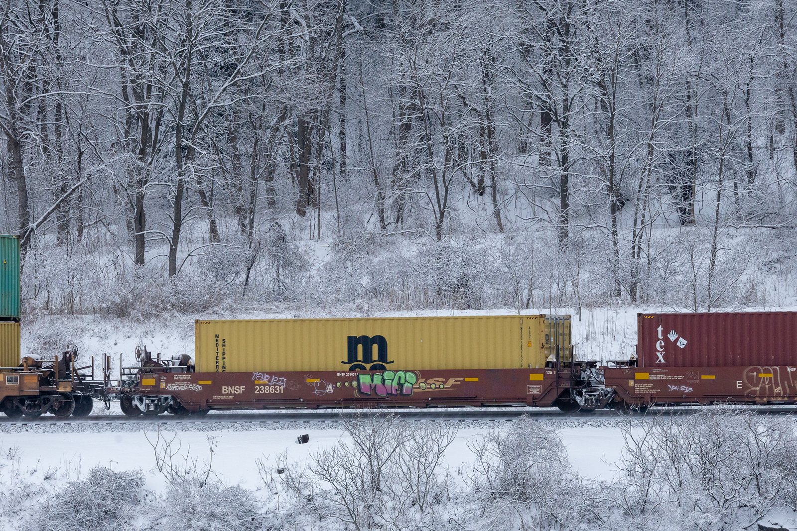 BNSF 238631A