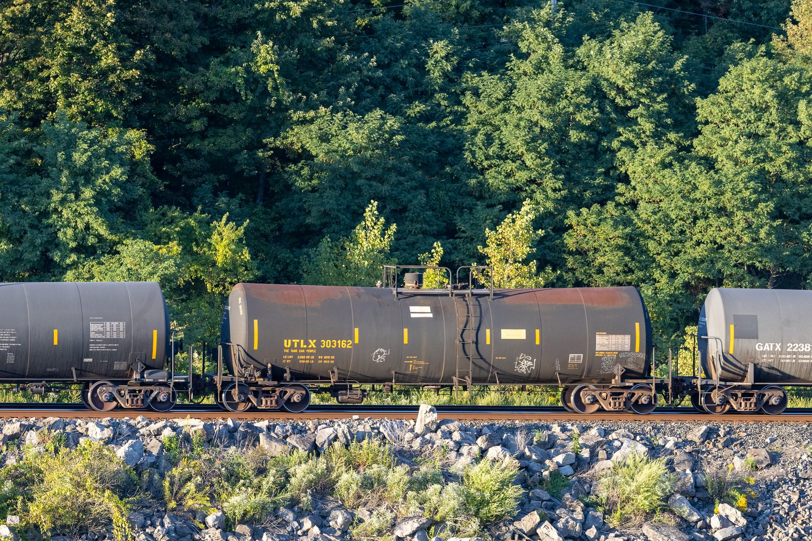 UTLX 303162