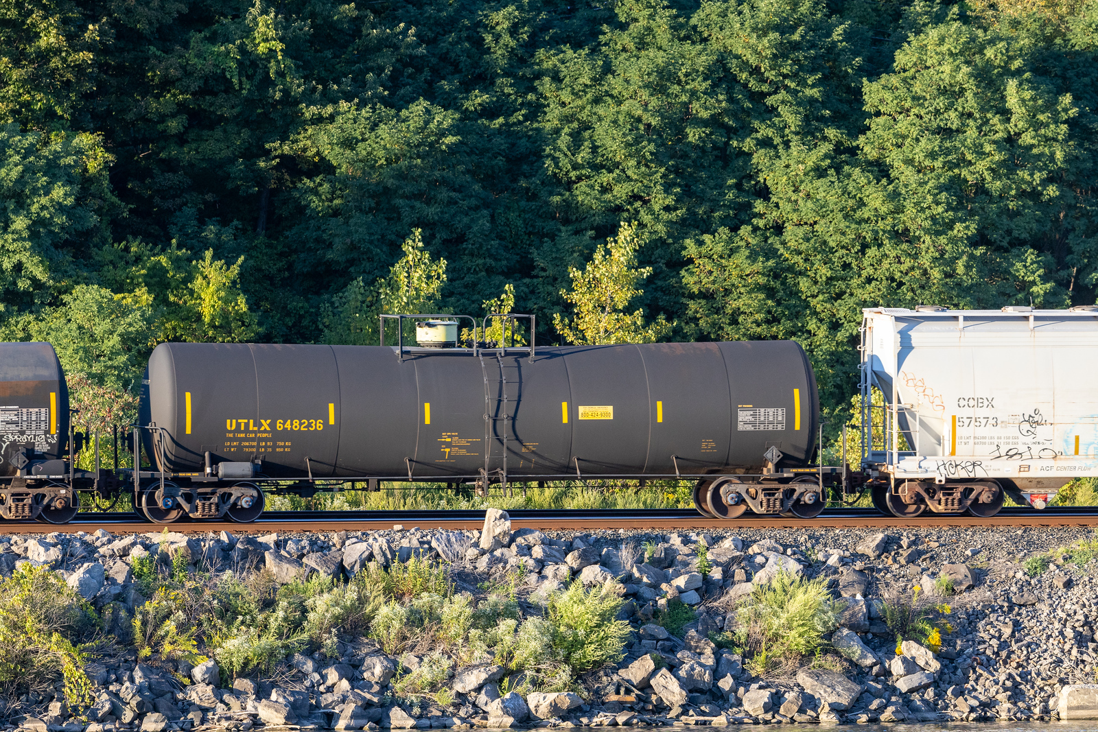 UTLX 648236