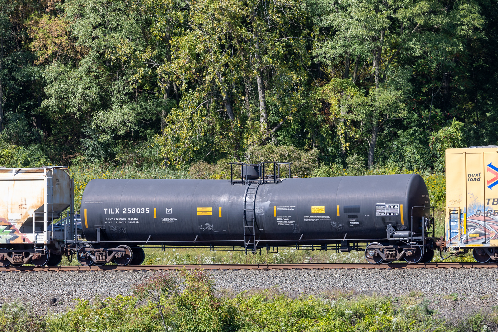 TILX 258035