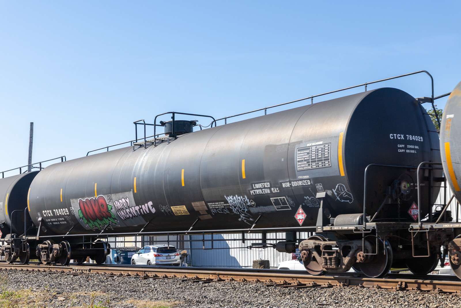 CTCX 784029