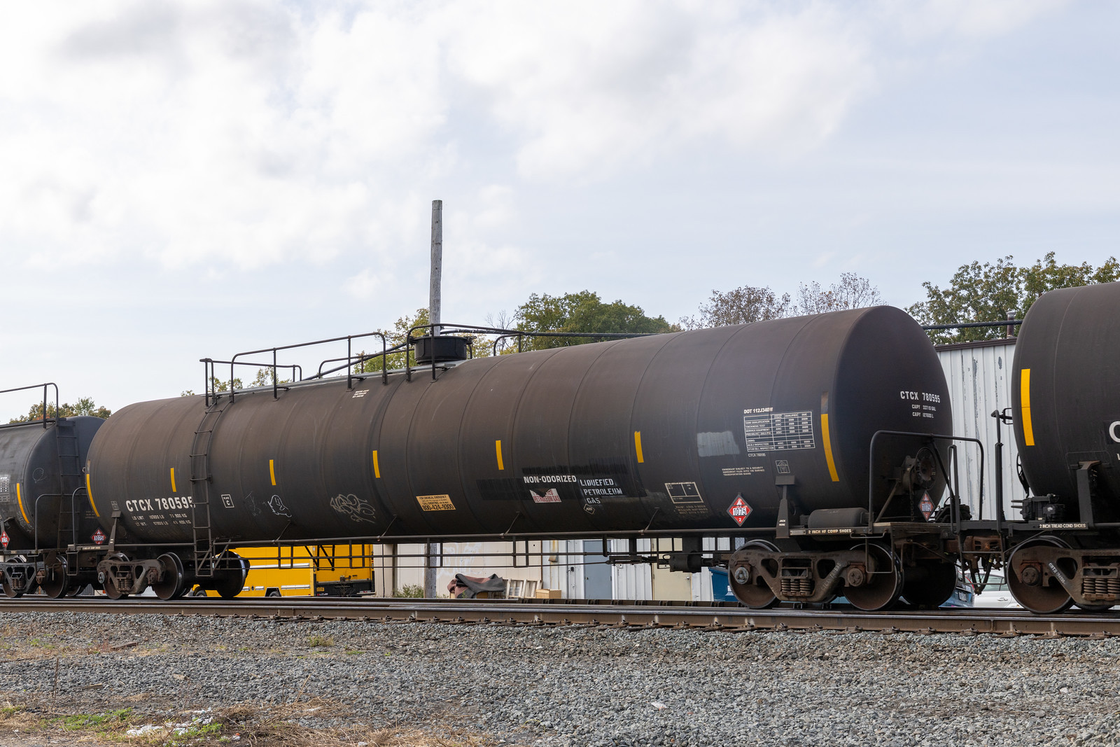 CTCX 780595