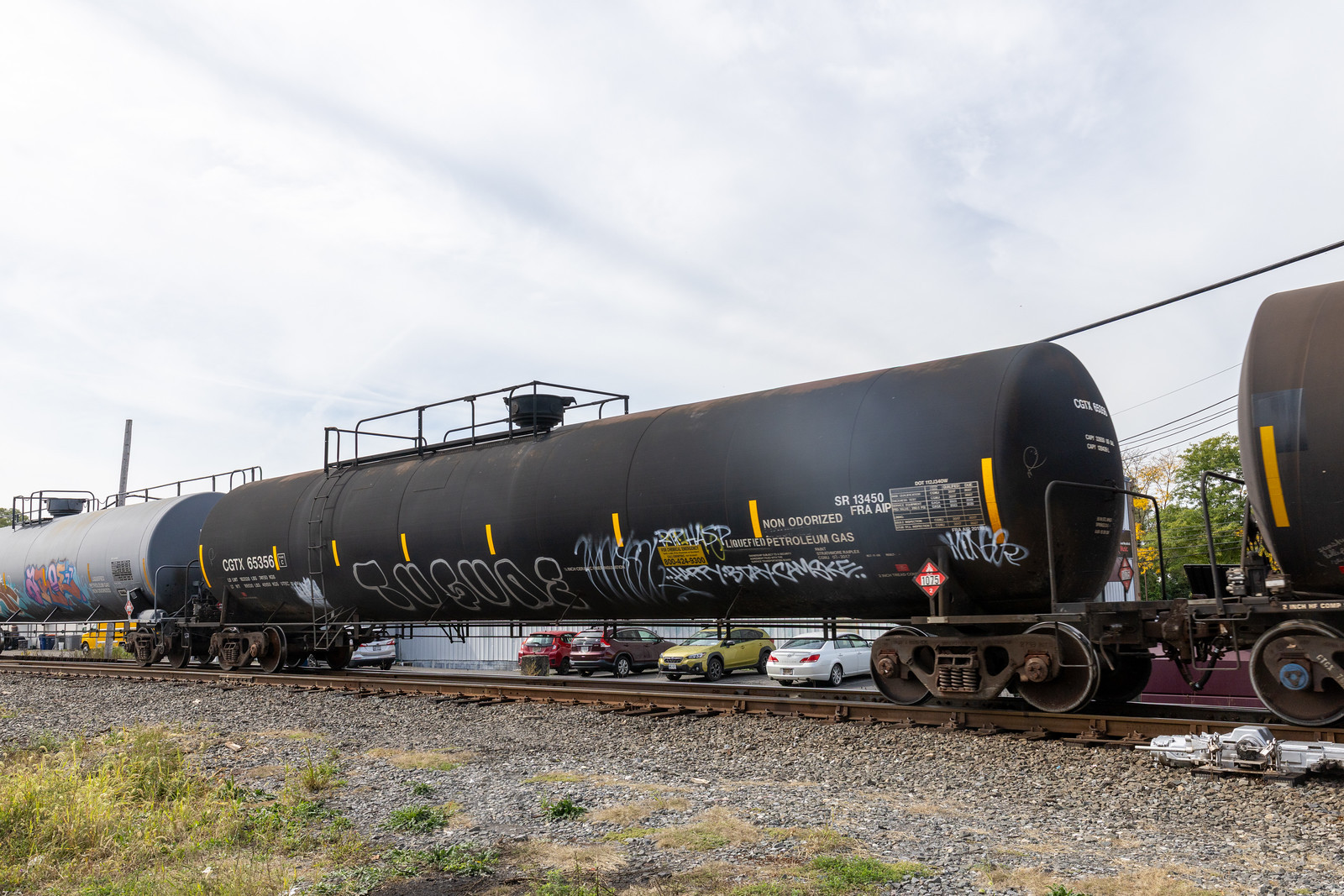 CGTX 65356