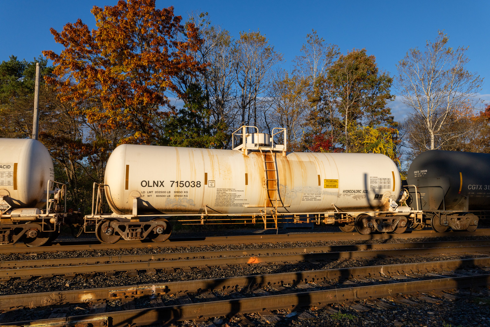 OLNX 715038