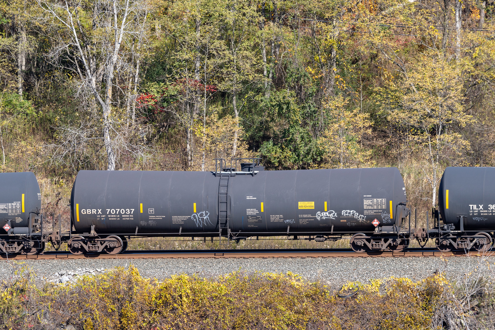 GBRX 707037