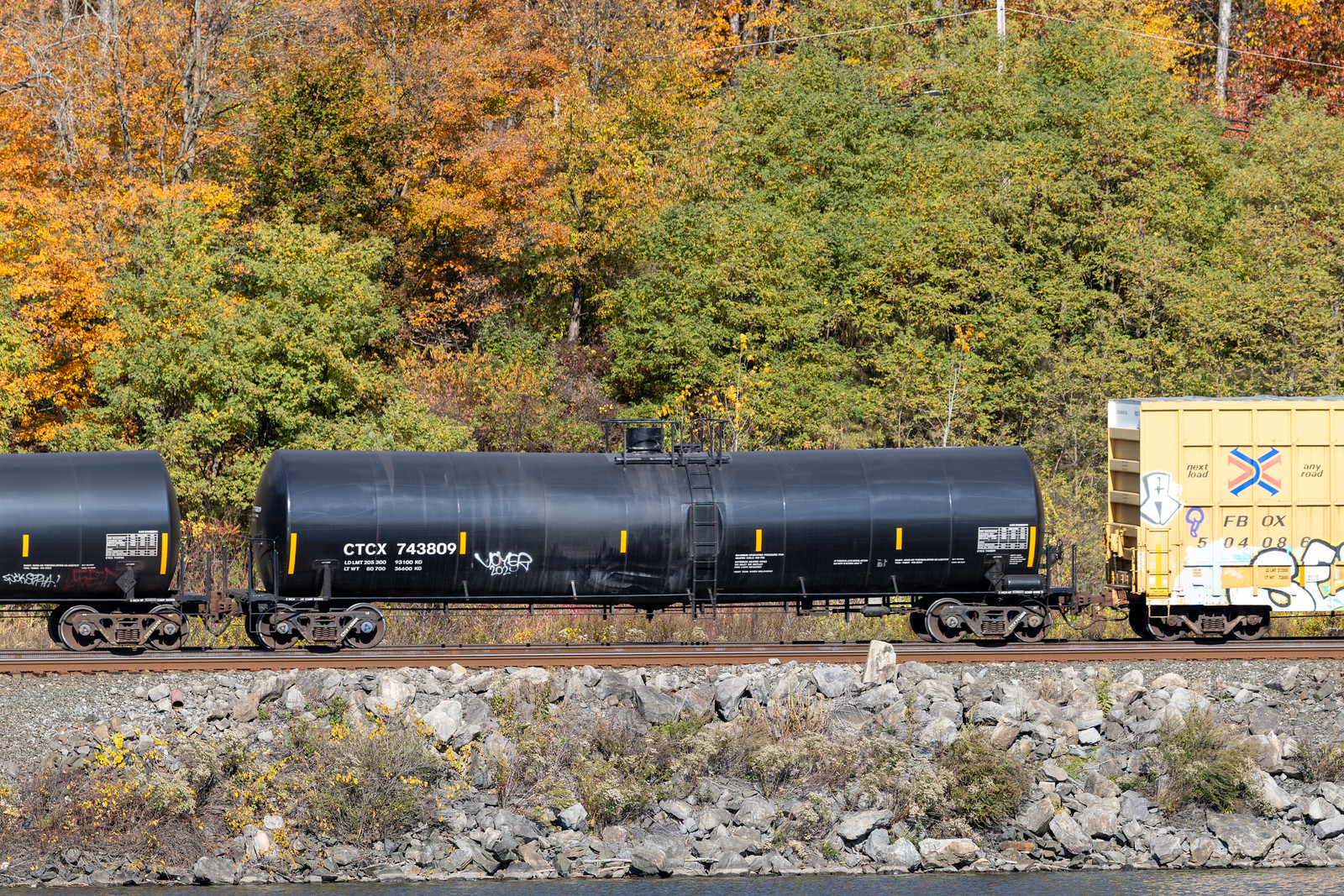 CTCX 743809