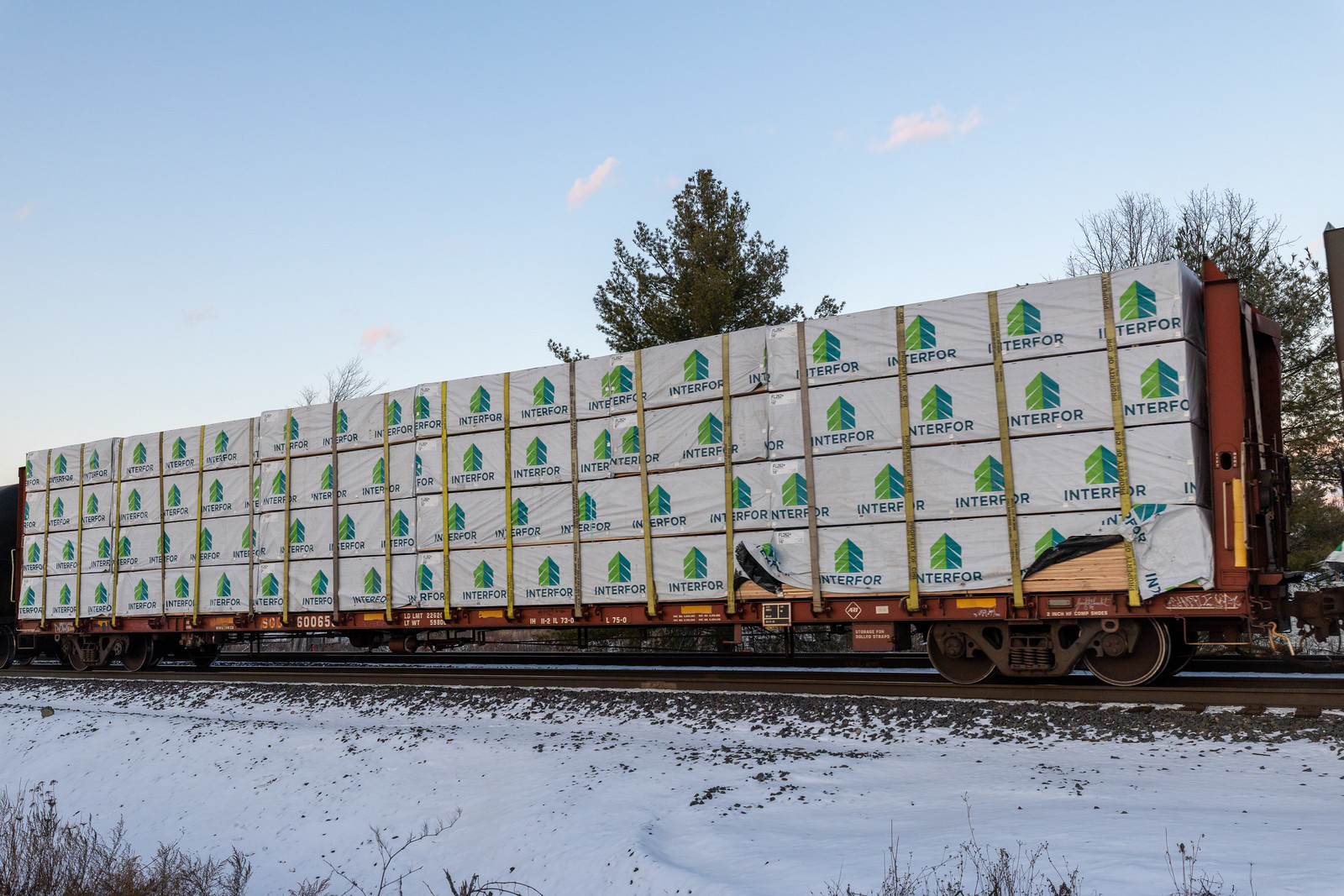 SOO 600655