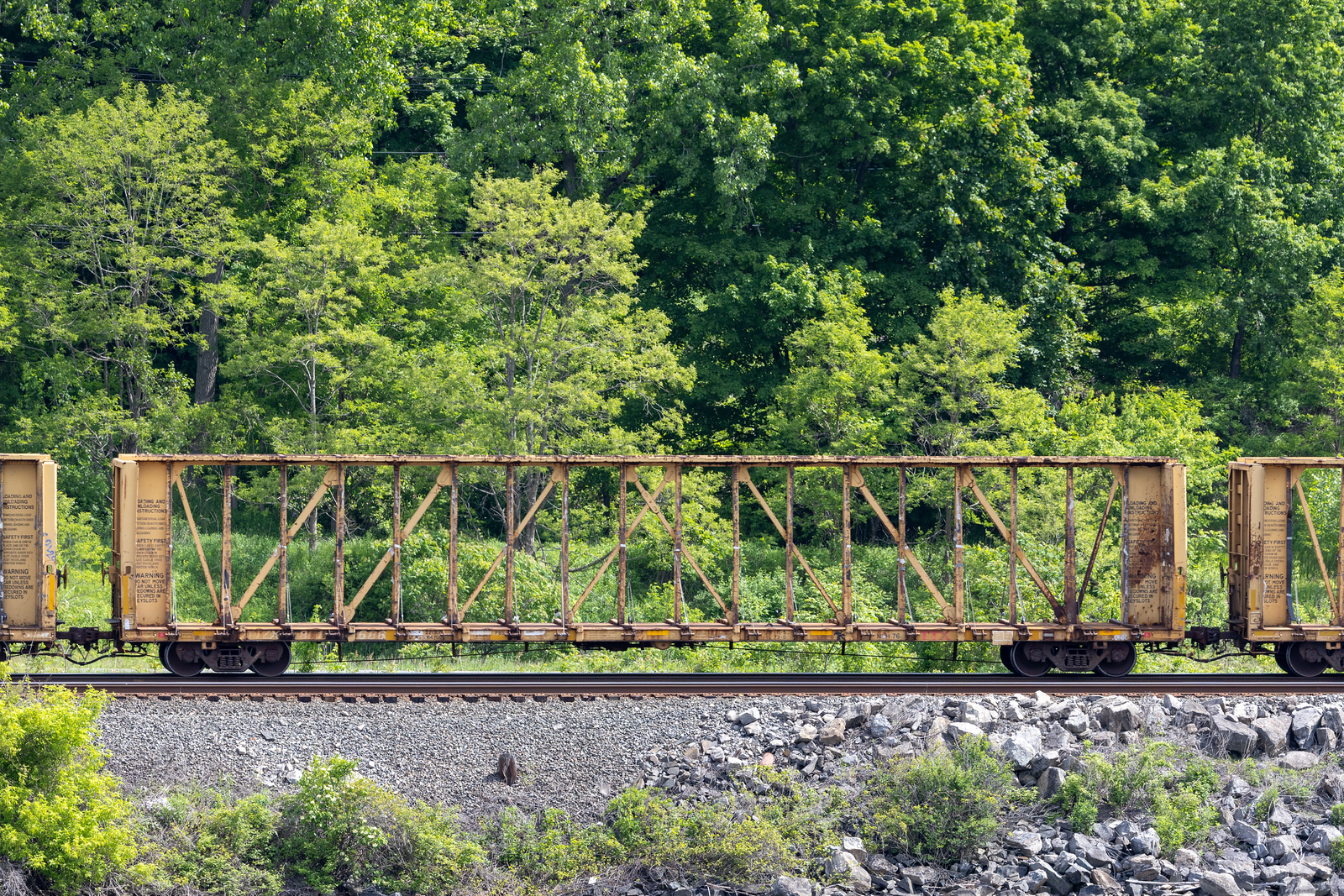 TTZX 861686