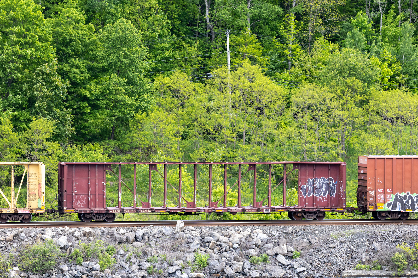 BNSF 559491