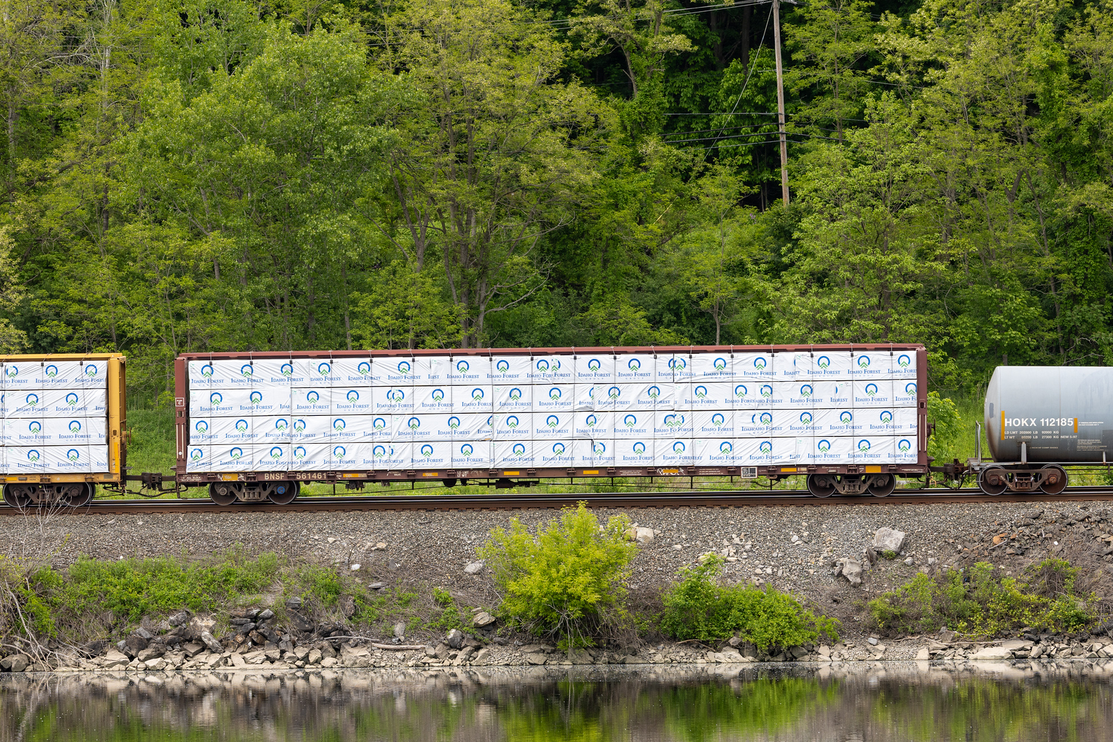 BNSF 561461