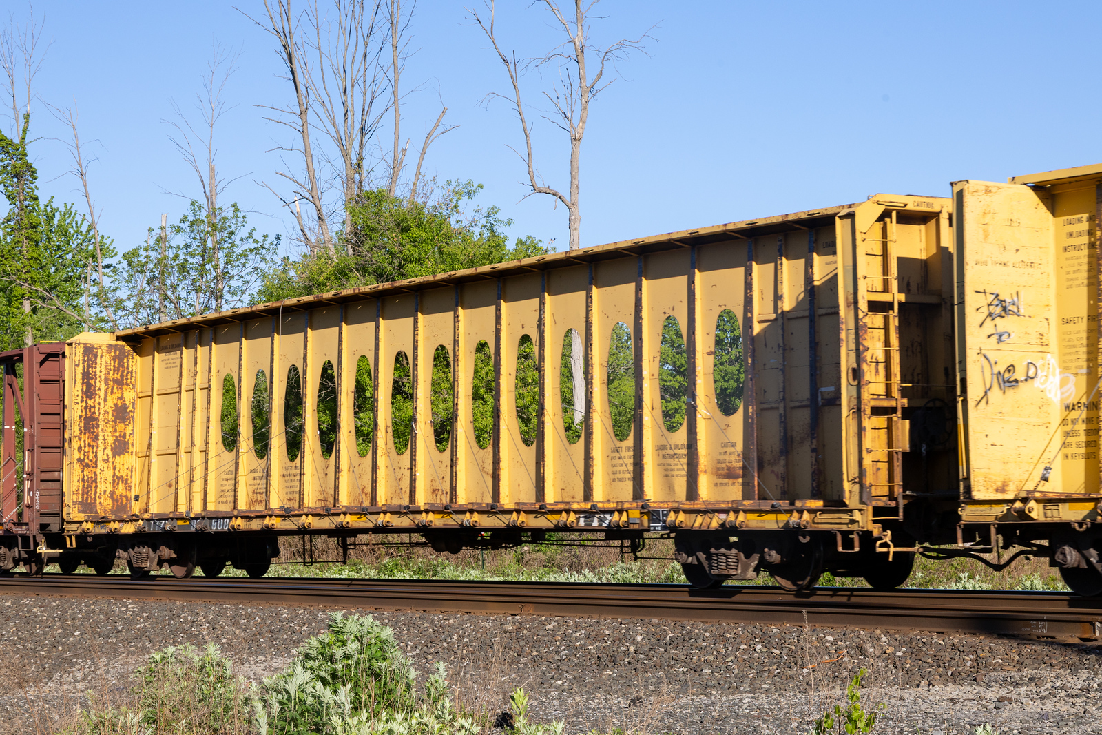TTZX 83808