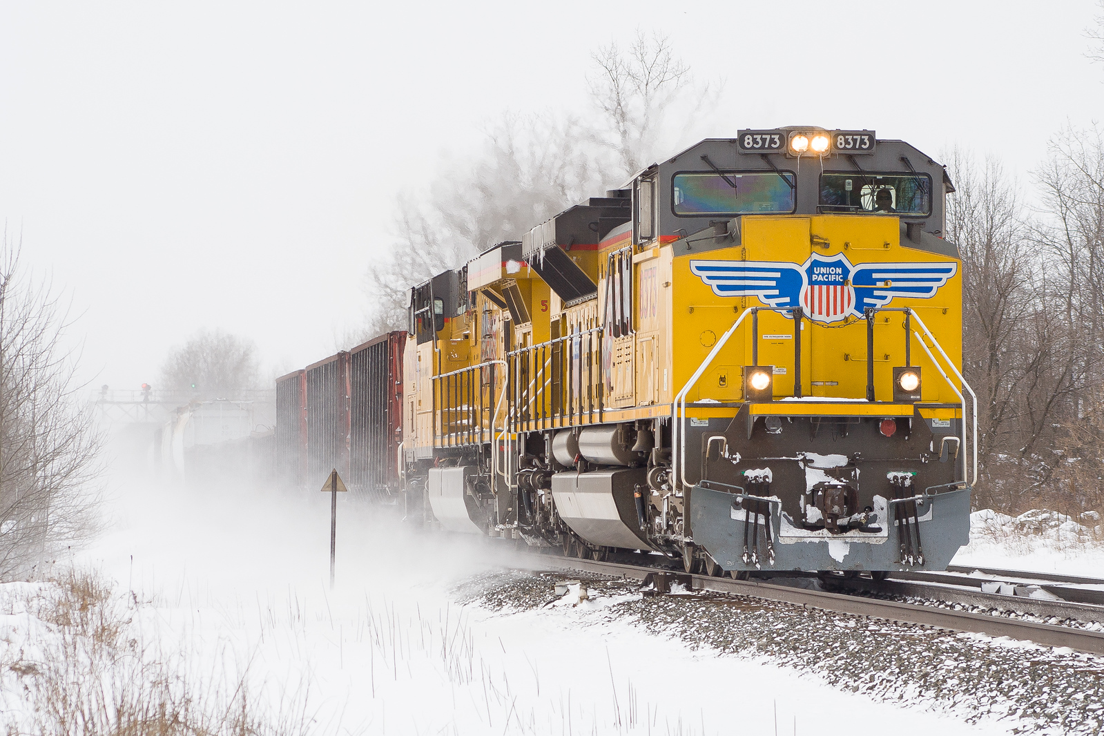 CSXT Q390 @ Churchville, NY