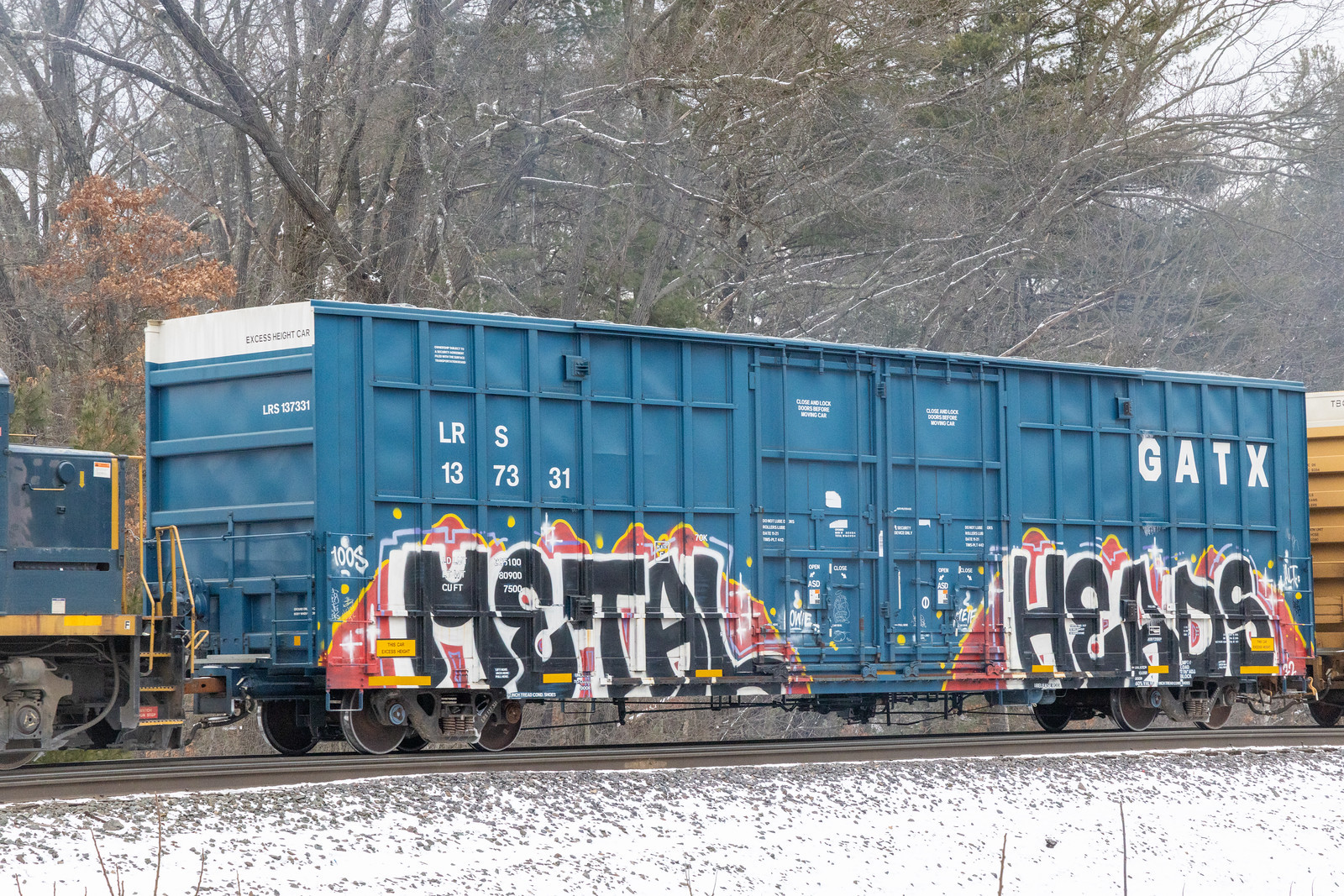 LRS 137331
