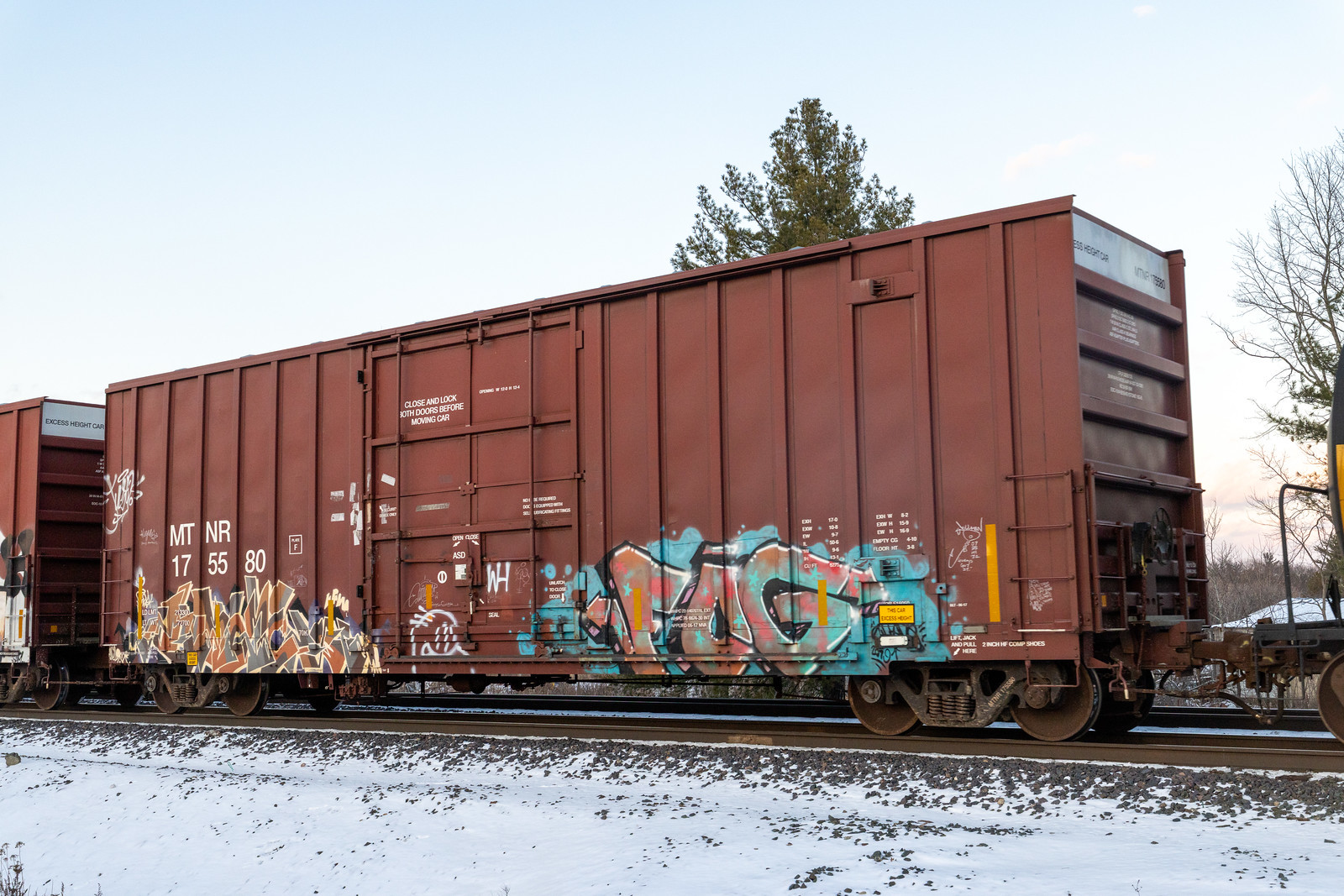 MTNR 175580