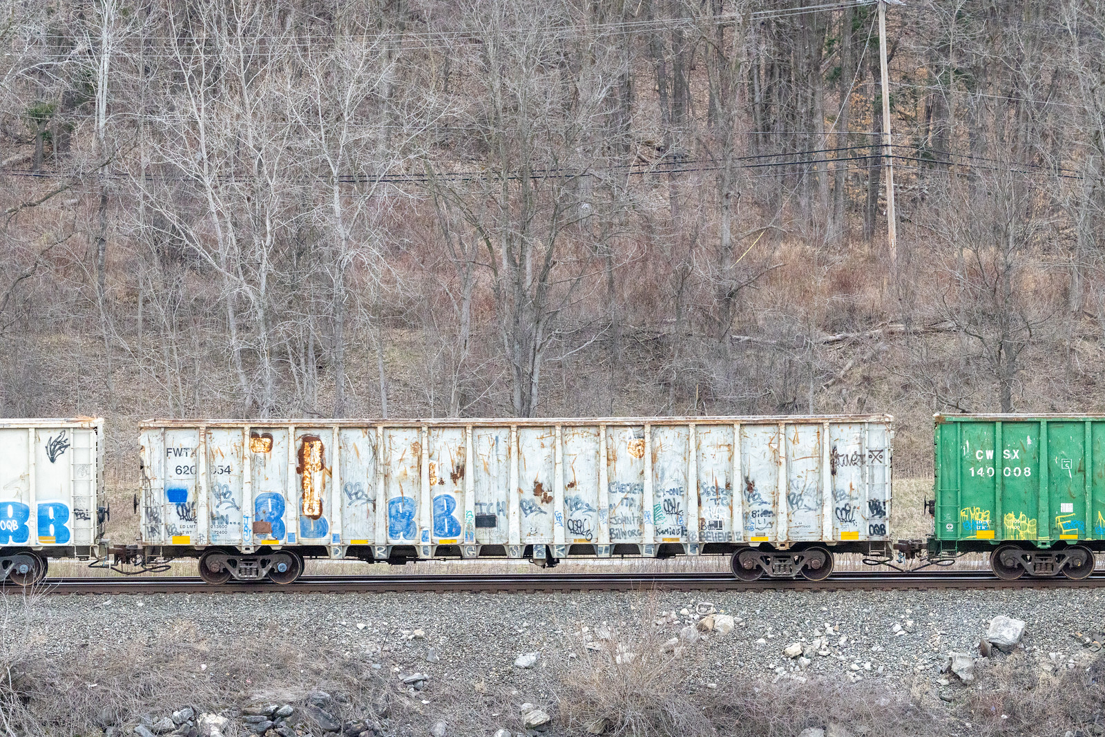 FWTX 620054
