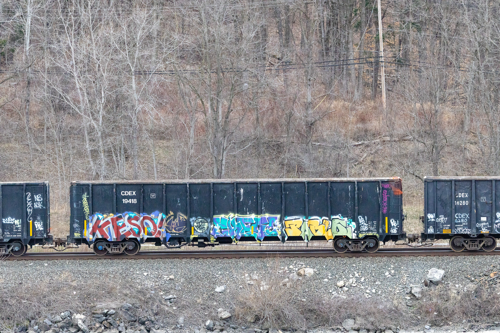 CDEX 19418