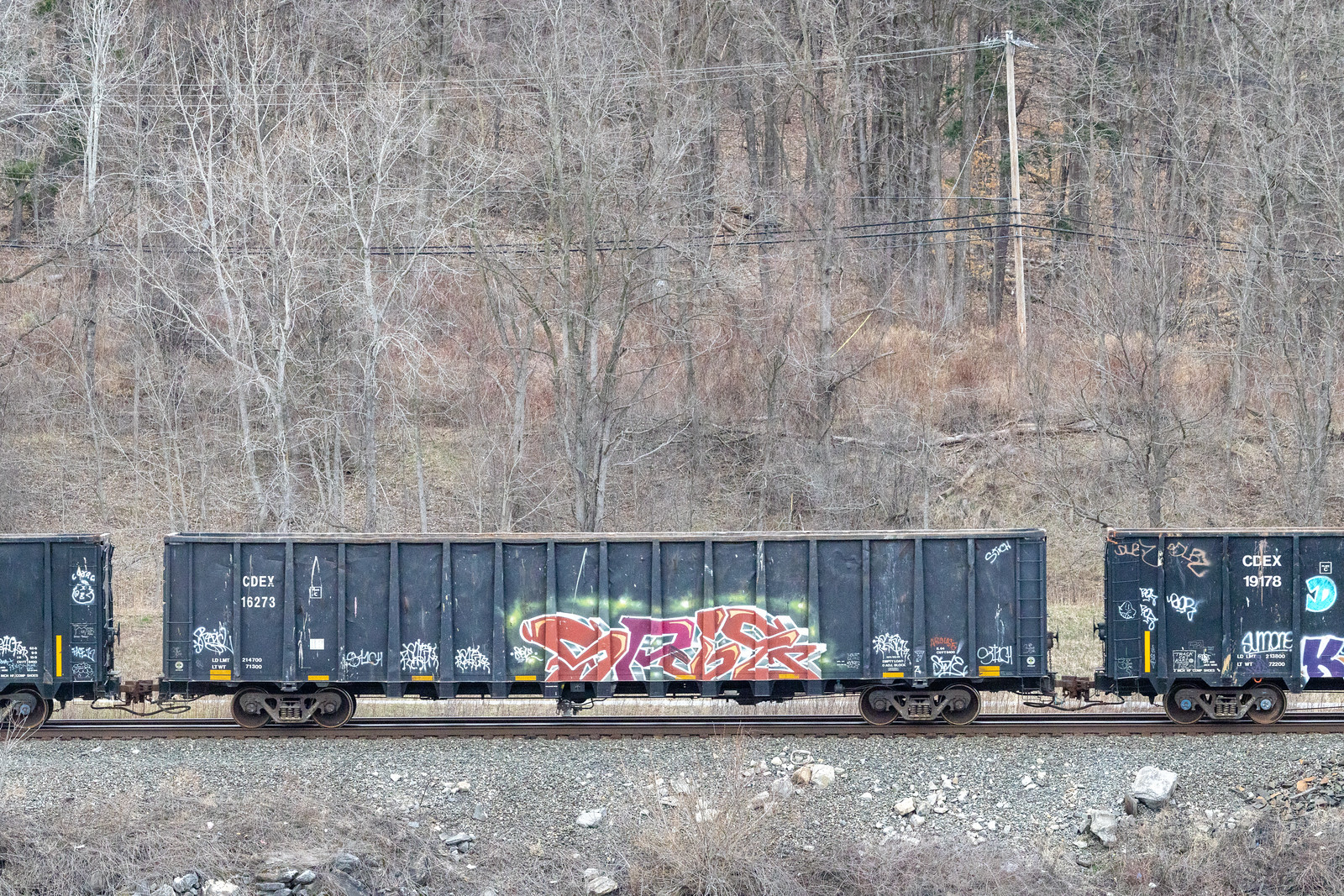 CDEX 16273