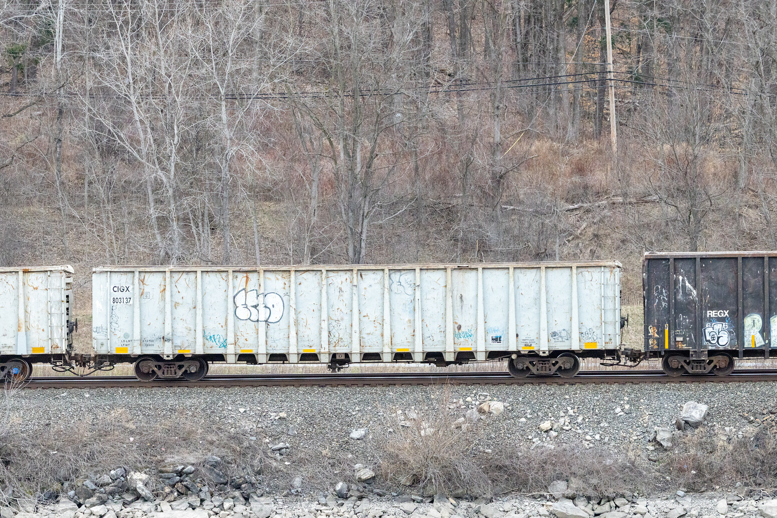 CIGX 803137