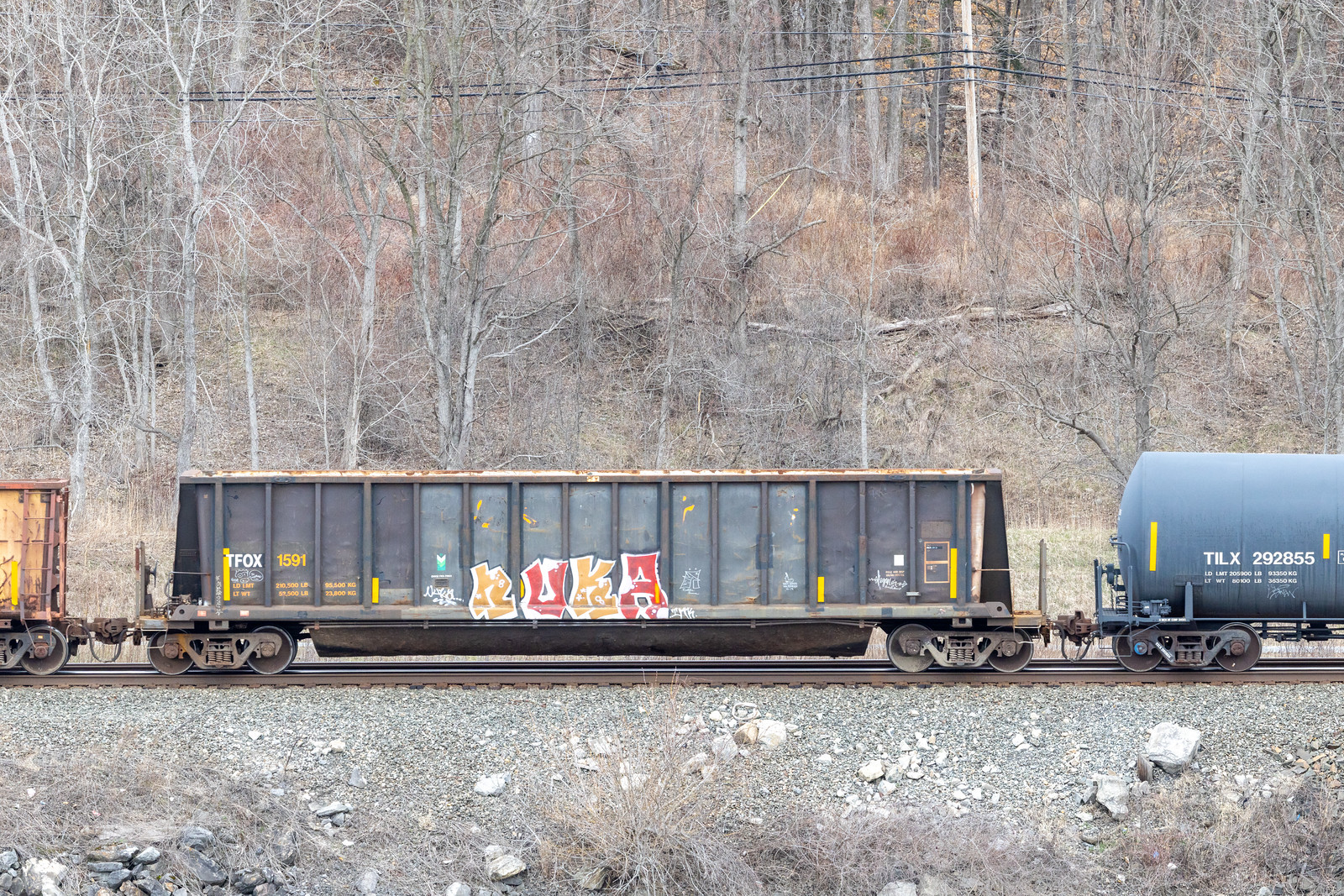 TFOX 1591
