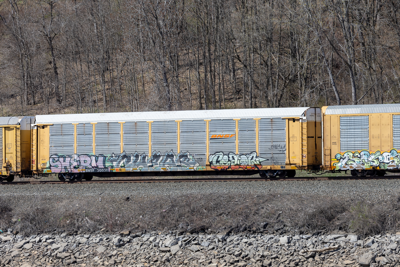 BNSF 300311