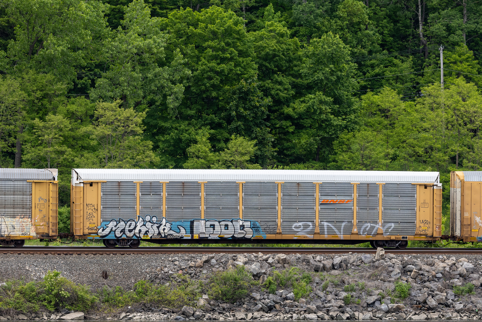 BNSF 300342