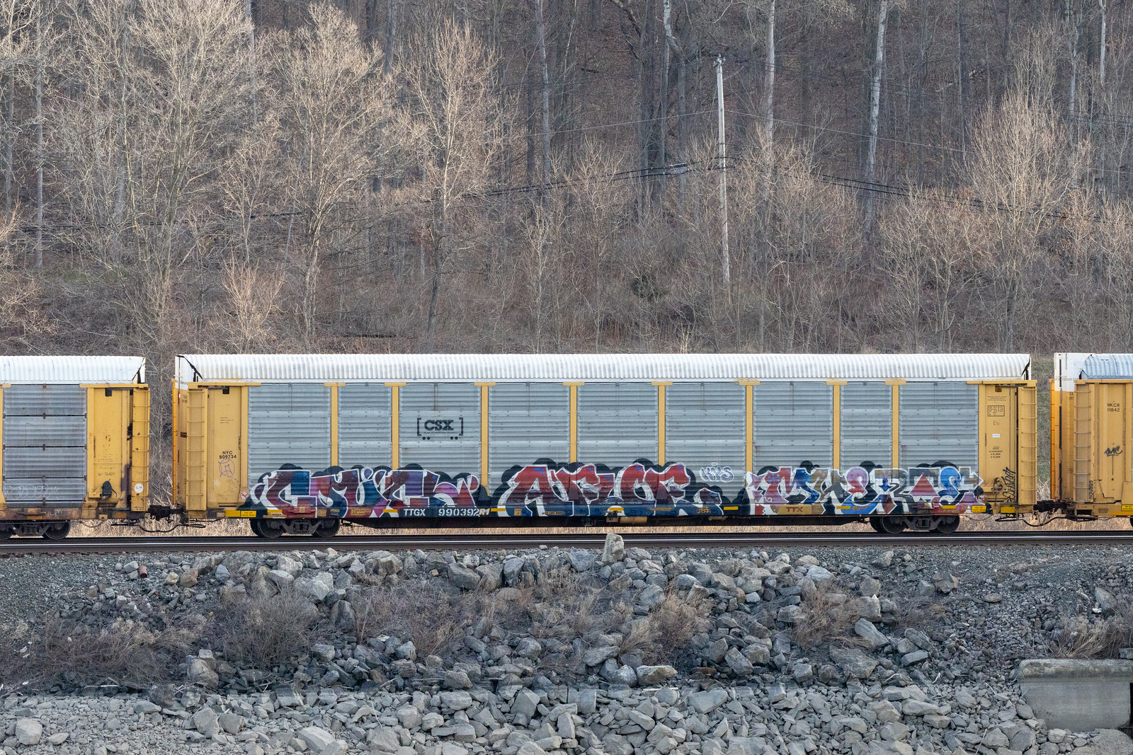 TTGX 990392