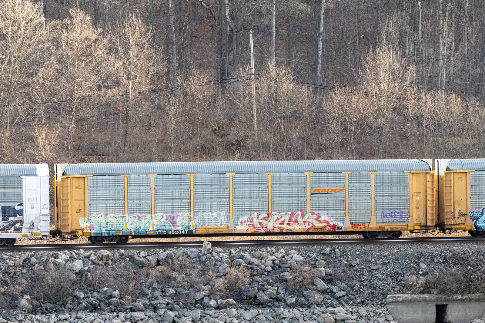 TTGX 952347