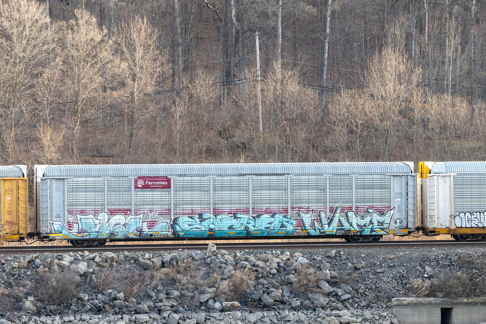 TTGX 705618