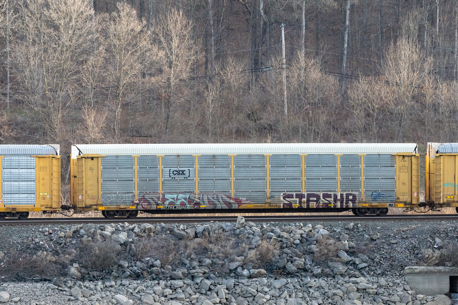 TTGX 990884