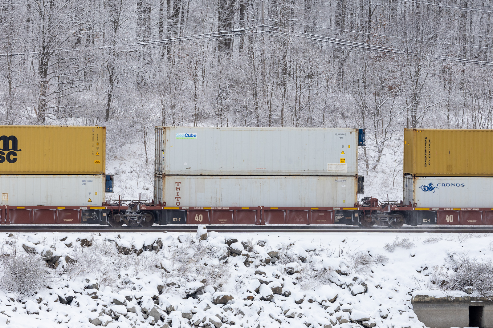 AOK 5248D