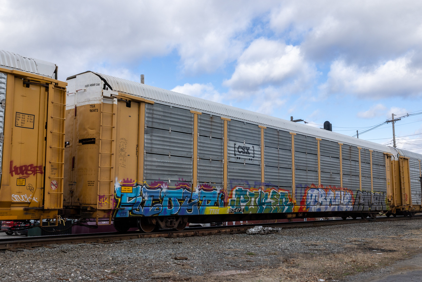TTGX 965473