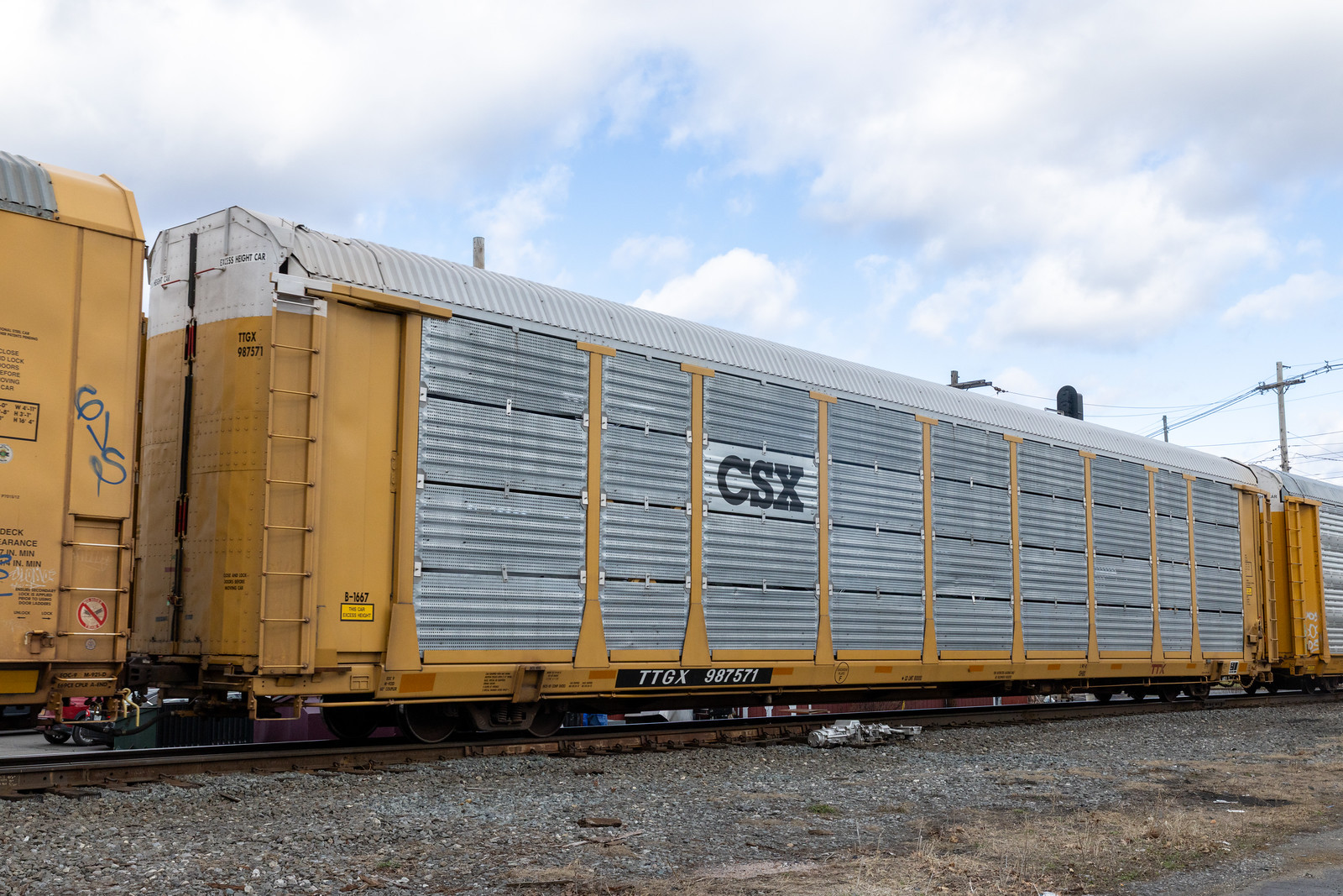 TTGX 987571
