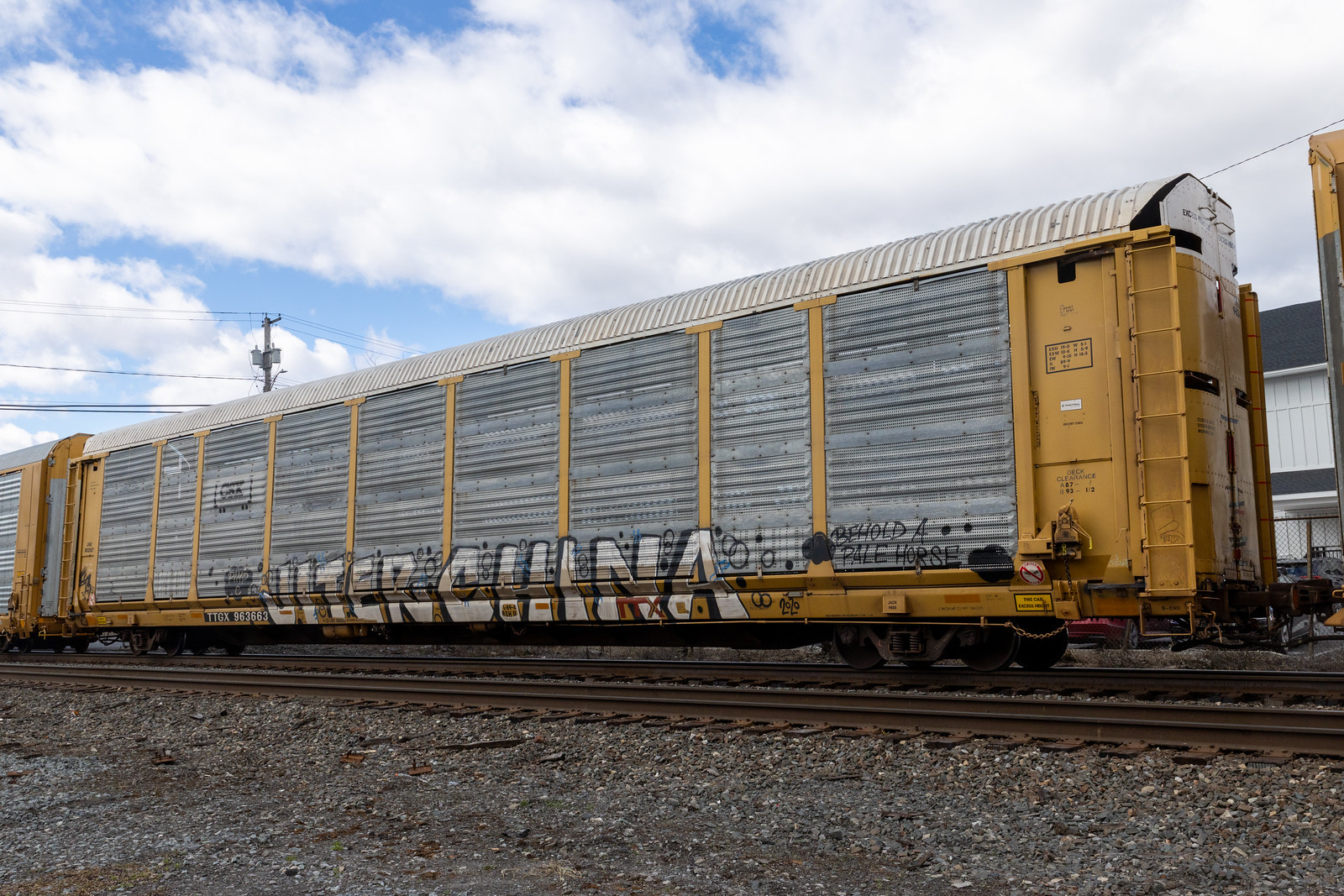 TTGX 963663
