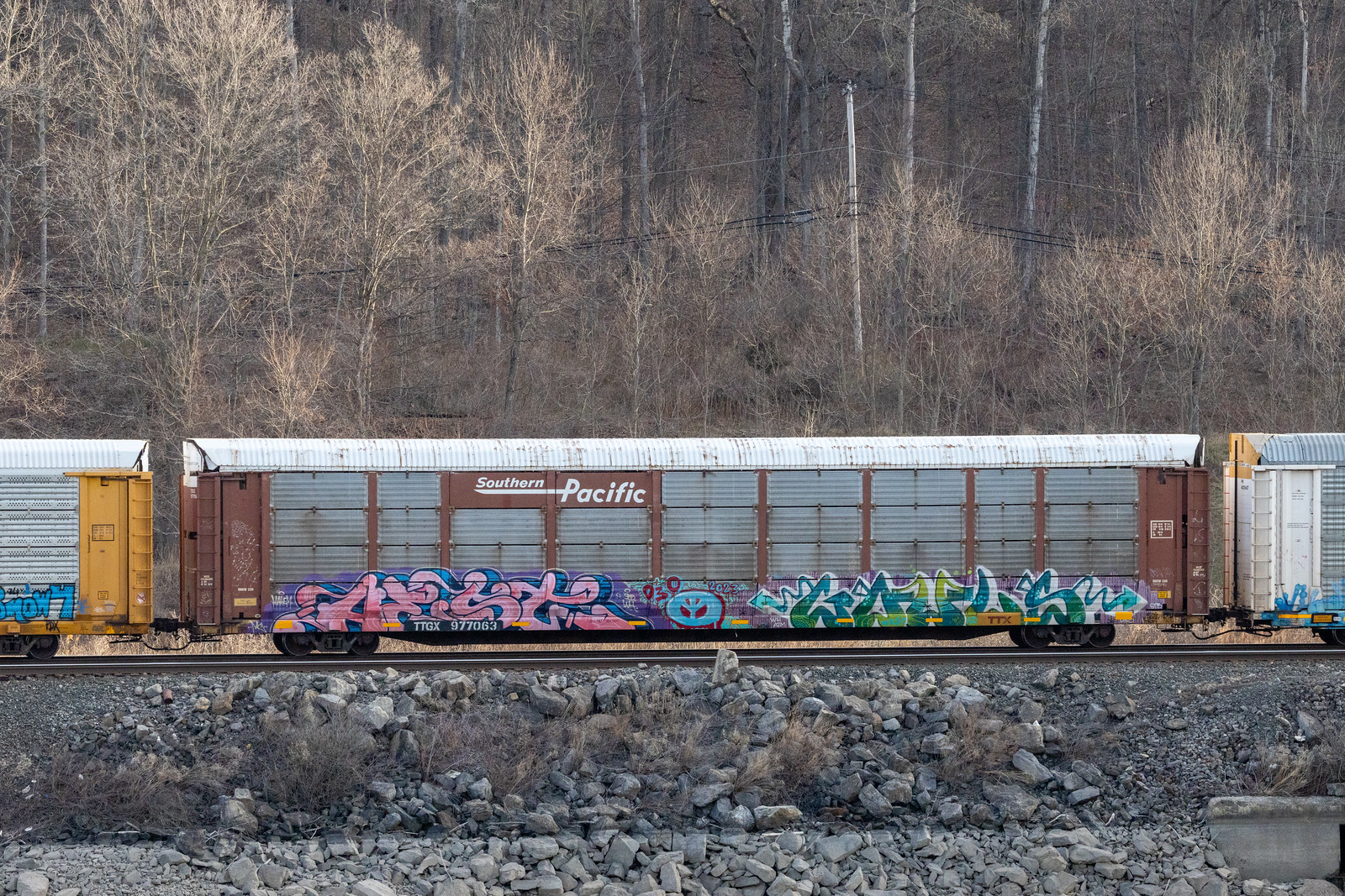 TTGX 977063