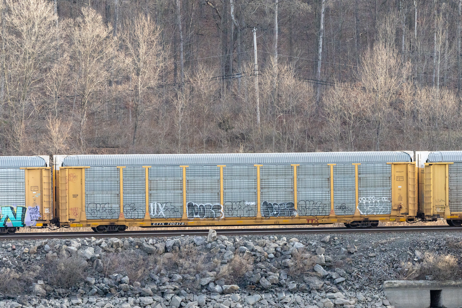 ETTX 700478
