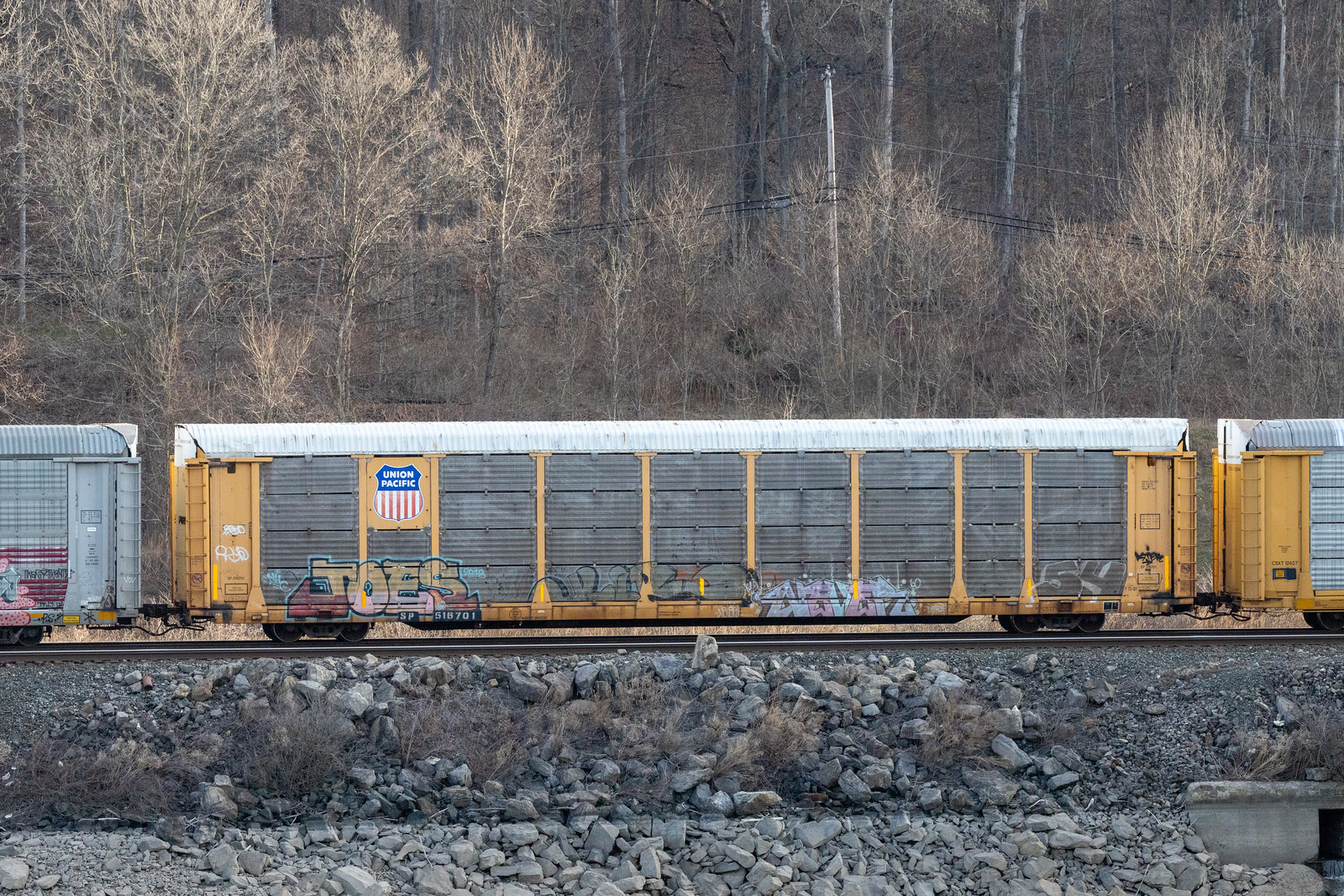 SP 516701