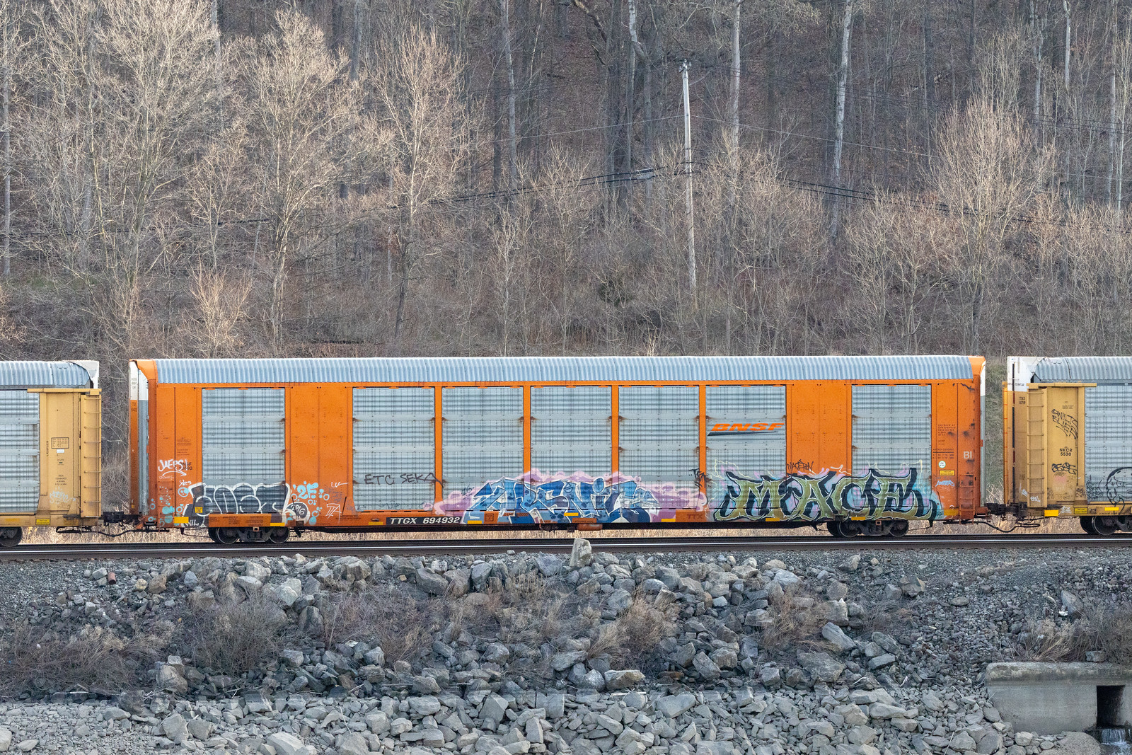 TTGX 694932