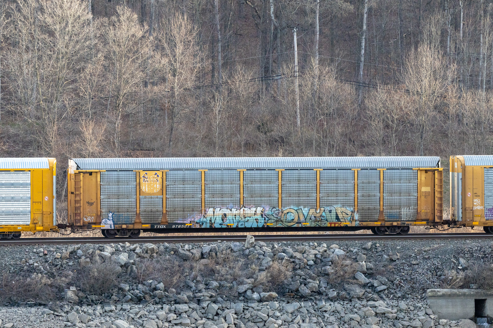 TTGX 978527